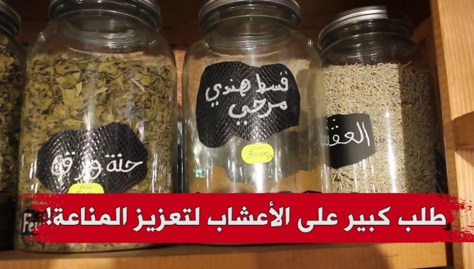 "الشيح والزعتر" والقسط الهندي .. أكثر الأعشاب طلبا من قبل المواطنين لتعزيز مناعتهم