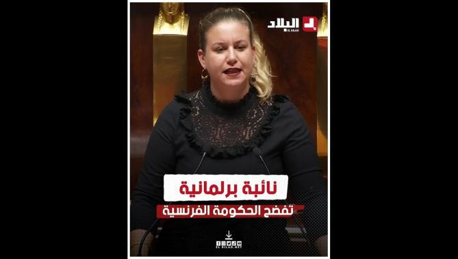 نائبة برلمانية فرنسية تفضح حكومة فرنسا بشأن القضية الفلسطينية.. شاهدوا: