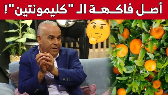 هل تعرف أصل ومصدر فاكهة "الكليمونتين". جواب مفاجئ من "رشيد أور".. شاهد: