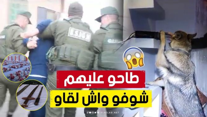 بالكلاب المدرّبة 🚨.. شاهد ماذا وجد أفراد "الصاعقة" والشرطة بأخـ.. ـطر أحياء السانيا بوهران