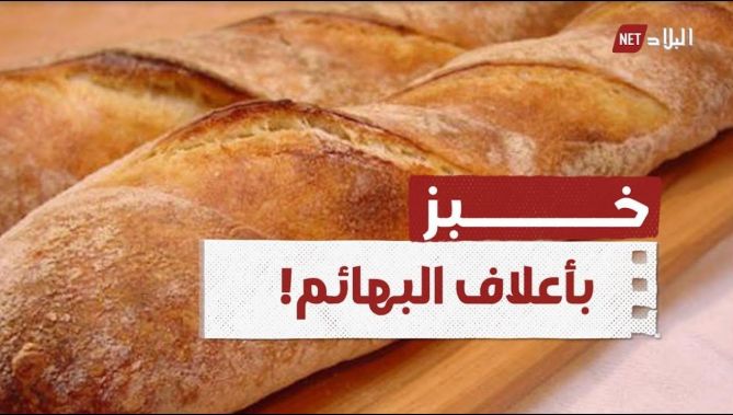 "أعلاف البهائم" أم "خبز شعير"..أين الحقيقة ؟..شاهد: