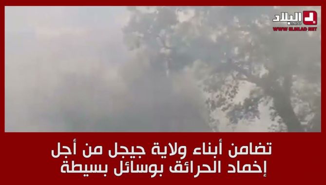 تضامن شباب من ولاية جيجل لإخماد الحرائق باستعمال وسائل بسيطة