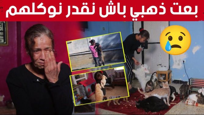 بتضحيات لا تخطر على بال..هكذا تشارك "رفيقة" حياتها مع عشرات القطط والكلاب..شاهدوا