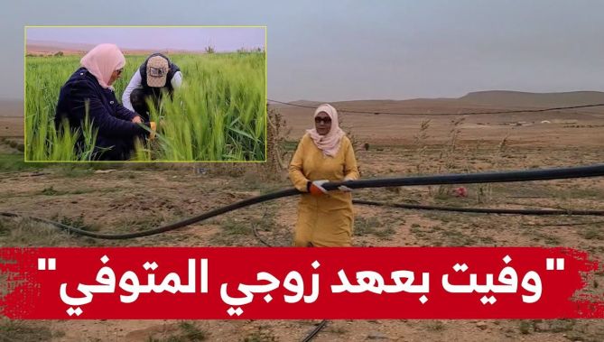 وعدت زوجها قبل وفاته أن تواصل خدمة الأرض والفلاحة لتنجح في استصلاح عديد الهكتارات