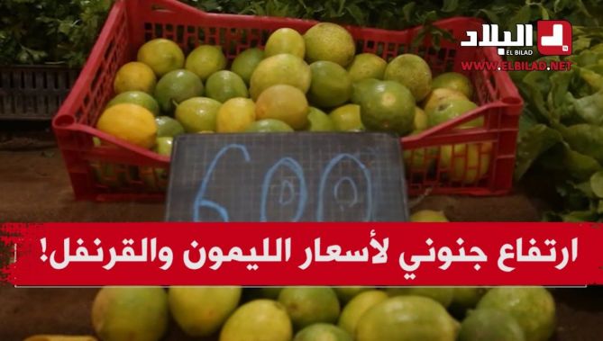 بعد الأكسجين .. تجار الأزمات يتحكمون في أسعار الليمون والقرنفل