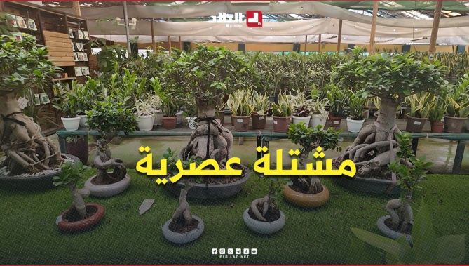 فيديو - مشتلة عصرية تواكب المعايير العالمية : البلاد
