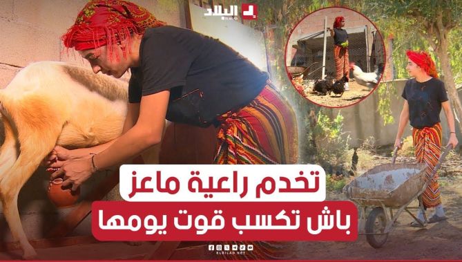 فريال شابة تكافح بصبر وعزيمة في رعاية الماعز لتأمين قوت يومها بعد وفاة والديها ومواجهة تحديات الحياة