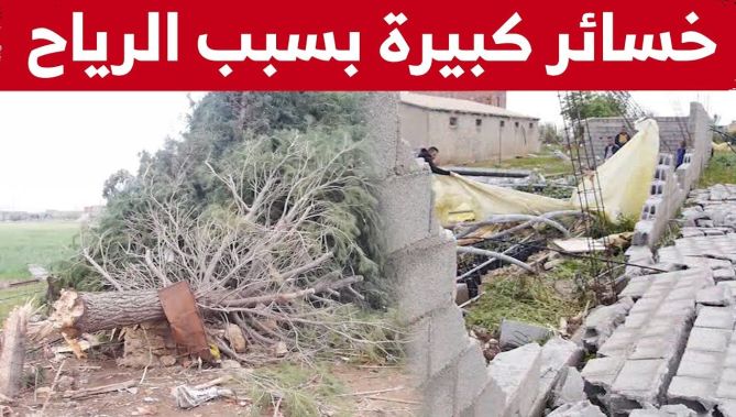 أمطار رعدية ورياح قوية تسبب خسائر معتبرة بمشتة "هنشير تومغني" بأم البواقي.. شاهد