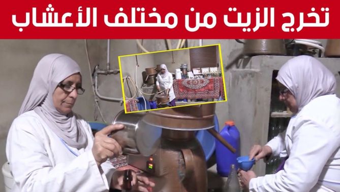 هجيرة".. من ممرضة متقـاعدة إلى حرفية في تقطير مختلف انواع الأعشـاب.. #شـاهدوا"