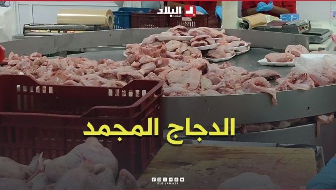 الشروع في تسويق كميات معتبرة من الدجاج المجمد بسعر 350 دينارا
