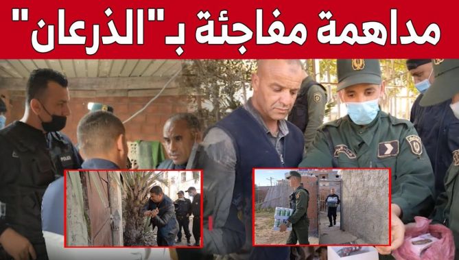 توقيف مطلوبين في مدا.همات مشتركة للدرك والشرطة بمنطقة "الذرعان" بالطارف.. شاهد: