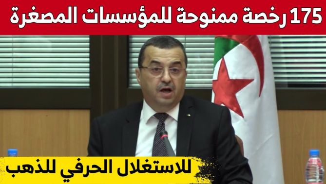 محمد عرقاب: عدد التراخيص الممنوحة للمؤسسات المصغّرة للاستغلال الحرفي للذهب بلغ 175 ترخيص