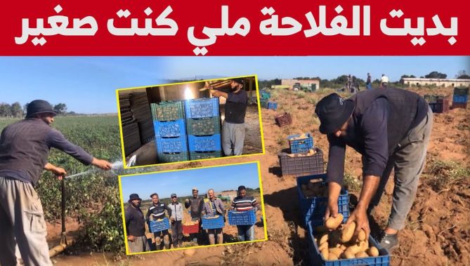 إبراهيم صايفي" فلاح مثابر أطلق مشروعا يشغل 20 عاملا.. شاهد"