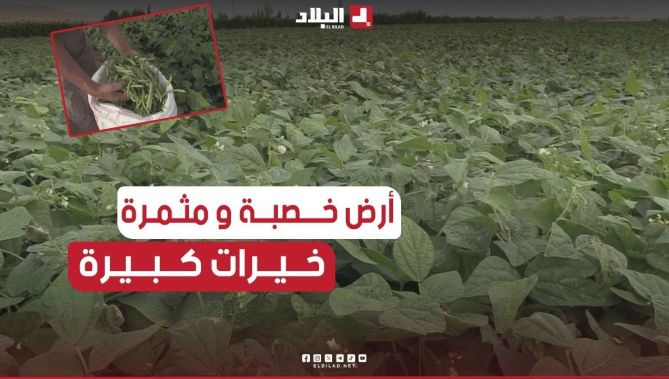 📌#بــاتنة: تجارب فلاحية واعدة.. شباب يرفع التحدي والهدف خدمة الأرض