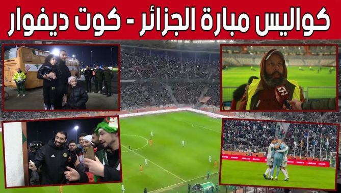 ما لم تشاهده عبر الشاشة.. كواليس مباراة الجزائر وكوت ديفوار في ربع نهائي "الشان"