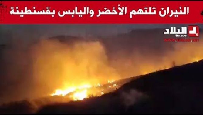 ألسنة النيران تلتهم الاخضر واليابس بمنطقة ذراع الناقة بولاية قسنطينة.. شاهدوا