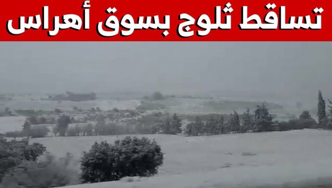 شاهد.. ولاية سوق أهراس تكتسي حلة بيضاء بتساقط الثلوج
