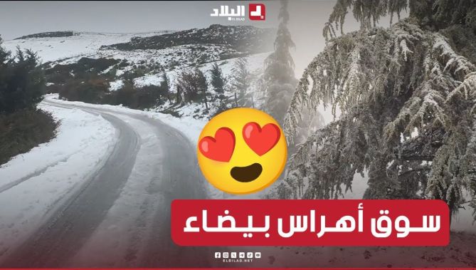 عروس الشرق تحت الثلوج | مشاهد ساحرة من قمة المسيد بـسوق أهراس .. شـــاهدوا