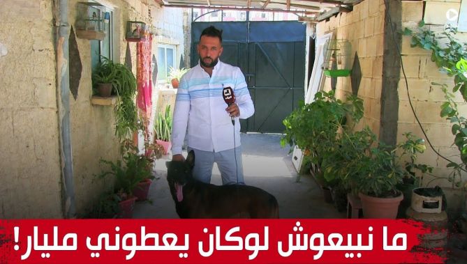 "إنزو".. كلب من سلالة "مالينوا".. يرفض "ههشام" بيعه وإن عرض عليه مليار سنتيم!.. شاهدوا