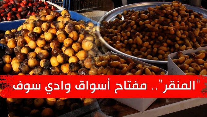 "المنقر".. نوع من التمور تشتهر به أسواق وادي سوف ويلقى إقبالا قبيلا خلال فصل الصيف
