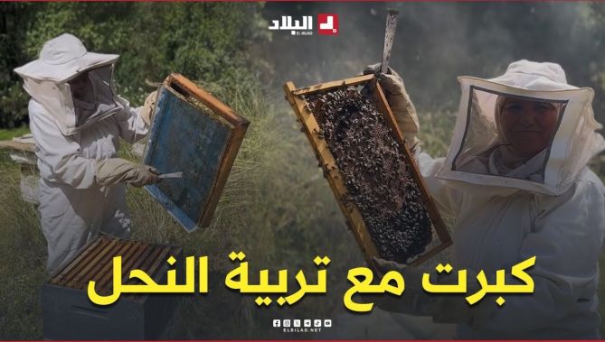 📍"علاقتي بتربية النحل كعلاقة الأم بابنها"... دليلة تُبدع في عالم النحل وتحوّل شغفها إلى قصة نجاح 😍