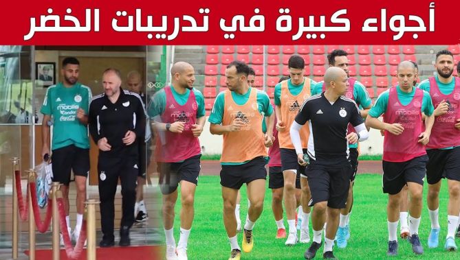 فيديو كامل لأول حصة تدريبية "للمحاربين" بمالابو استعدادا للقمة ضد الكاميرون