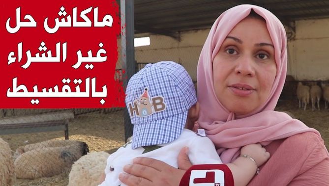 قسنطينة: غلاء أسعار الأضاحي يدفع بالمواطنين لاقتنائها بالتقسيط