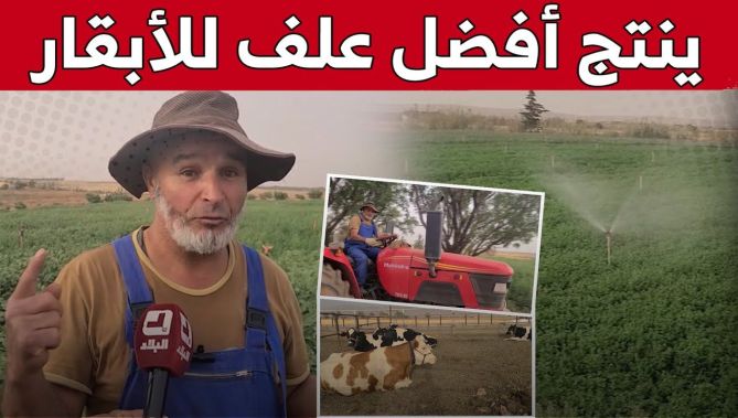 "محمد" من البيض.. مربي أبقار ينجح في إنتاج مختلف أنواع "نبات الفصة" الذي يعد أفضل علف للأبقار.. شاهد