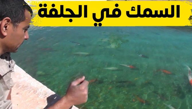 تربية السمك في الجلفة.. مشروع جسده شاب تحدى الطبيعة والبطالة معاً