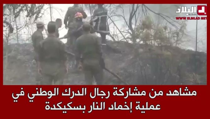 مشاهد من مشاركة رجال الدرك الوطني في عملية إخماد الحرائق بسكيكدة