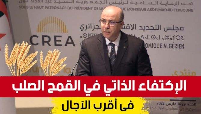 الوزير الأول: تحقيق الإكتفاء الذاتي في القمح الصلب هدف سيتم تحقيقه في أقرب الآجال