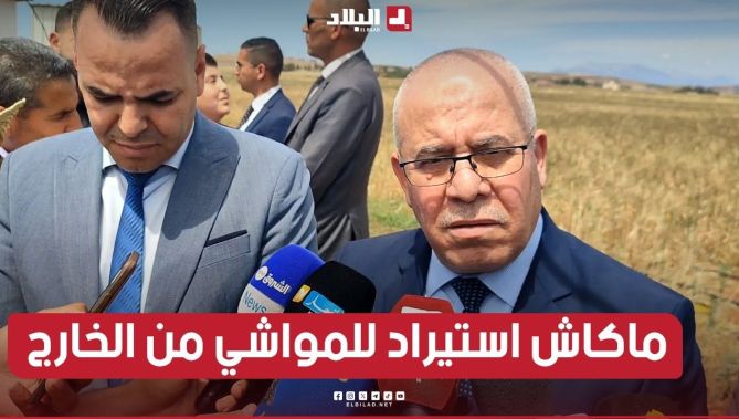 وزير الفلاحة: لا توجد عملية استيراد للمواشي من الخارج هذه السنة
