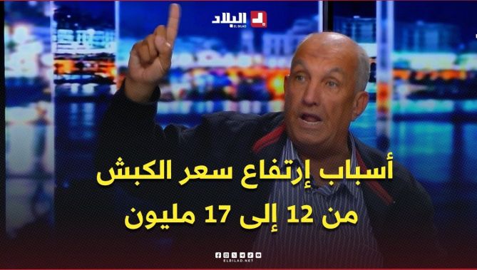 لماذا ارتفع سعر الخروف من 12 إلى 17 مليون؟ ..  #شاهدوا الأسباب التي قدّمها ممثل الموالين