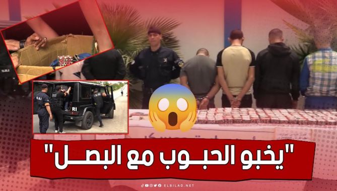يخبو الحبوب مع البصل .. فرقـة الـ "البيــاري" معسكر يطيـح بشبكة إجراميــة خطيــرة
