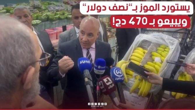 وزير التجارة: من غير المعقول استيراد الموز بـ "نصف دولار" ويباع في الأسواق بـ 470 دج!