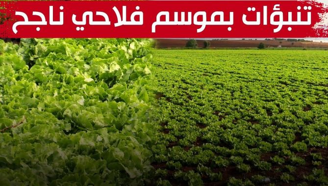 فلاحون يستبشرون خيرا بتساقط زخات أمطار الخريف الأولى .. وتنبؤات بموسم فلاحي ناجح .. شاهد