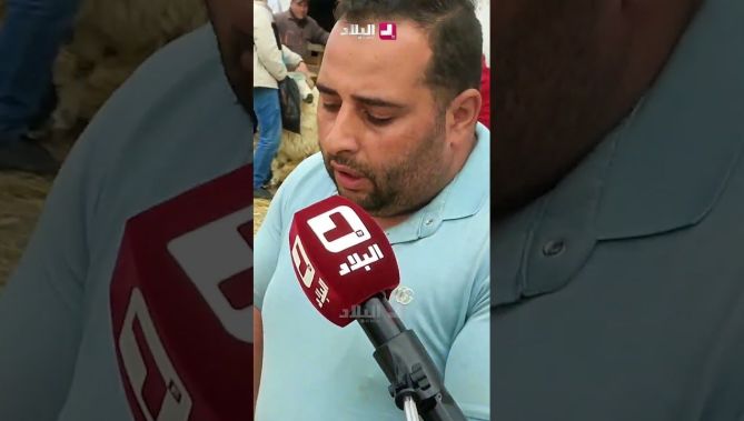 #موّال من البويرة.. "جيت نخيّر الكباش لجيراني.. سلعة ماشاء الله.. هذا برا يدير 13 مليون"