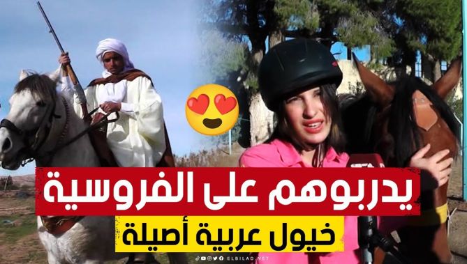 إقبال كبير على تعلم الفروسية في أقدم مركز بولاية الجلفة لإجراء سباقات الخيول العربية الأصيلة