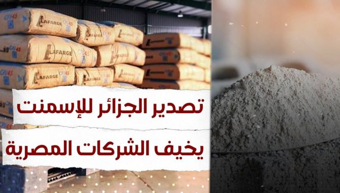 تصدير الجزائر للإسمنت يخيف الشركات المصرية.. شاهدوا