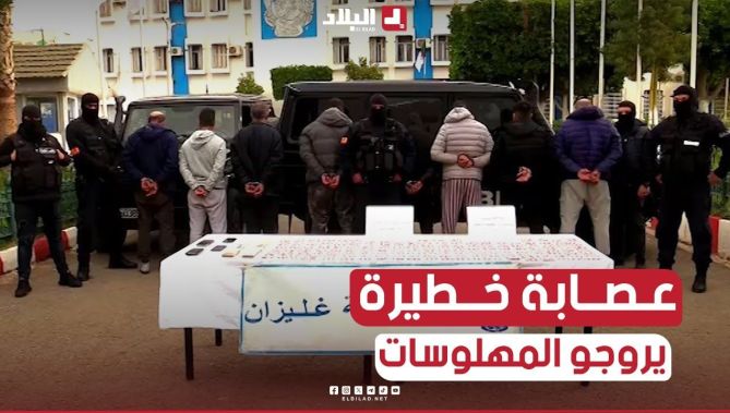 الإطاحة بشبكة مختصة في نقل وترويج الأقراص المهلوسة بـ #غليزان