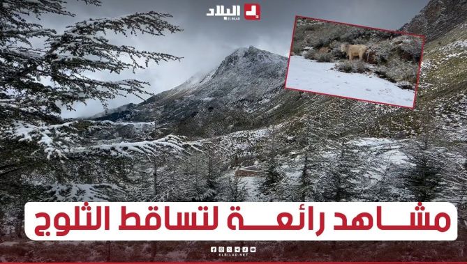 مشــــــاهد رائعة لتساقط أولى زخات الثــلج بأعالي تيزي نكولال بين البويرة وتيزي_وزو