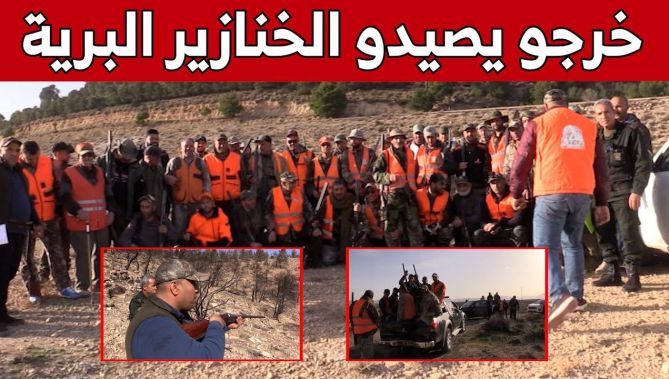"الحوشات" .. تنظيم خرجات لصيد الخنازير البرية بتبسة.. شاهدوا