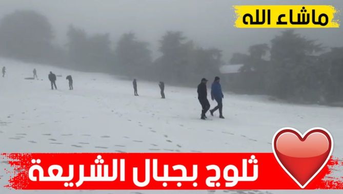 #شـاهـدوا .. جبـال #الشريـعة تكتسي الحلة البيـضاء بعد تساقط #الثـلوج