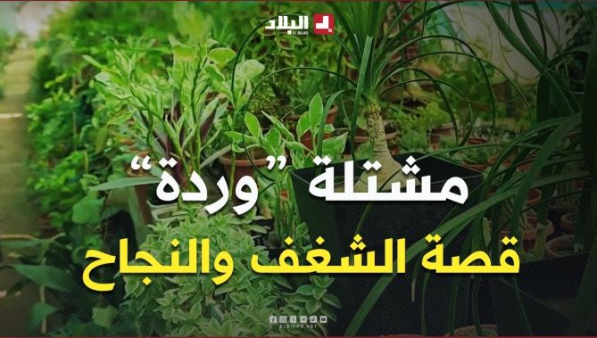 الطارف: مشتلة "وردة" ببحيرة الطيور.. من حب الطبيعة إلى صناعة النجاح
