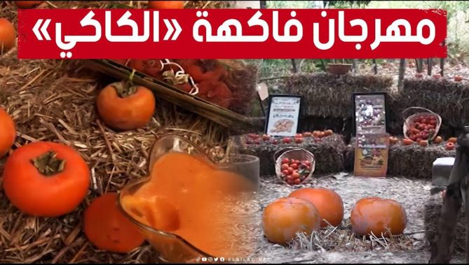 انطلاق الطبعة الـتاسعة لـ #مهرجان_فاكهة_الكاكي في #مشــطــراس بـ #تيزي_وزو.. تعرفوا عليها