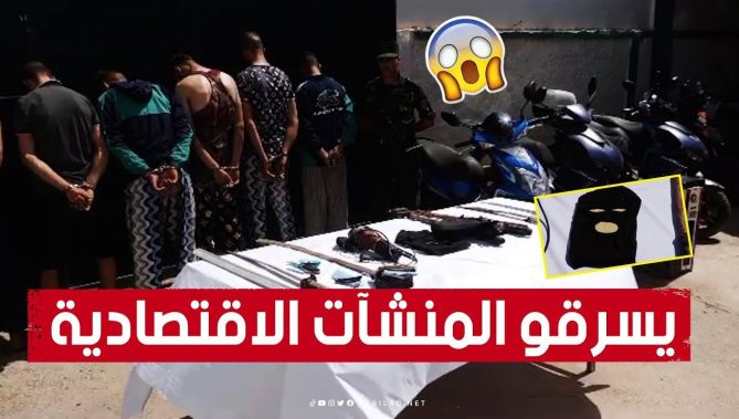 شبكة خطيـ رة تقوم بالسـ .طو على المنشآت الاقتصادية بوهران في قبضة الدرك الوطني.. شاهدوا: