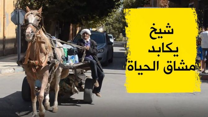 قصة عمي حسان شيخ.. سبعيني يعمل في نقل المواد الغذائية عبر عربة يجرها حصان.. شاهدوا