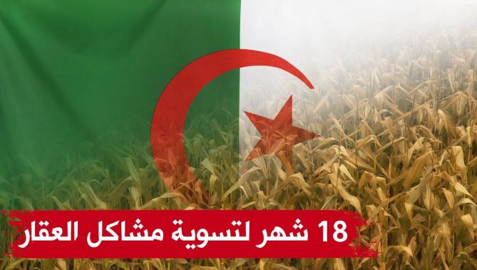 18 شهرا أمام الولاة لتسوية مشاكل العقار الفلاحي و السياحي و الصناعي