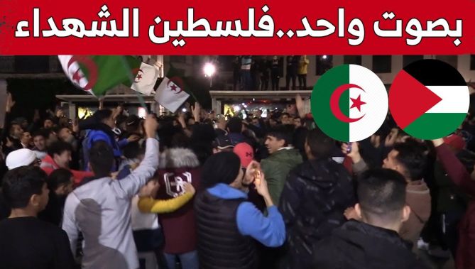 الجزائريون بصوت "فلسطين الشهداء".. شاهدوا