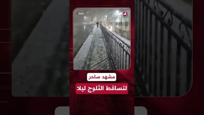 #متداول مشاهد ساحرة لتساقط #الثلوج #ليلاً في #بلدية "أولاد صابر" بـ #سطيف